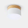 Миниатюра фото потолочный светодиодный светильник imperium loft wood 141161-26 | 220svet.ru