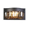 Миниатюра фото настенный светильник favourite amber 1657-2w | 220svet.ru