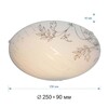 Миниатюра фото настенно-потолочный светильник apeyron 16-183 | 220svet.ru