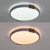 Миниатюра фото потолочный светодиодный светильник arte lamp a2684pl-72wh | 220svet.ru