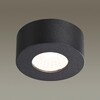 Миниатюра фото потолочный светодиодный светильник odeon light bene 4283/7cl | 220svet.ru