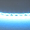 Миниатюра фото светодиодная лента голубая lightstar 12w/m 120led/m 5m 420516 | 220svet.ru