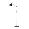 Миниатюра фото торшер lumion horsa 8331/15fl черный | 220svet.ru