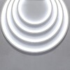 Миниатюра фото светодиодный термостойкий гибкий неон maytoni 14,4w/m 180led/m холодный белый 5 м 20095 | 220svet.ru