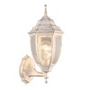 Миниатюра фото уличный настенный светильник arte lamp pegasus a3151al-1wg | 220svet.ru