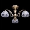 Миниатюра фото потолочная люстра mw-light ариадна 450011503 | 220svet.ru