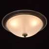 Миниатюра фото потолочный светильник mw-light ариадна 450015503 | 220svet.ru