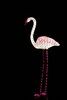 Миниатюра фото композиция светодиодная "фламинго" shg-41-2 | 220svet.ru