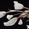 Миниатюра фото потолочная люстра mw-light восторг 19 242016306 | 220svet.ru