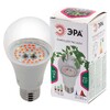 Миниатюра фото лампа светодиодная для растений эра e27 12w 1310k прозрачная fito-12w-rb-e27 б0050601 | 220svet.ru