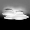 Миниатюра фото настенный/потолочный светильник lumi mycena d38 | 220svet.ru