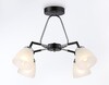 Миниатюра фото потолочная люстра ambrella light traditional modern tr303293 | 220svet.ru