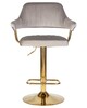 Миниатюра фото стул барный dobrin charly gold lm-5019_golden-10677 серый | 220svet.ru