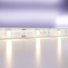 Миниатюра фото светодиодная лента led strip 24в maytoni 10163 | 220svet.ru