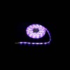 Миниатюра фото светодиодная лента globo 3m rgb 16.2w 38991 | 220svet.ru