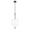 Миниатюра фото подвесной светильник loft it venice 10223/d white | 220svet.ru
