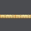Миниатюра фото светодиодная влагозащищенная лента теплый белый lightstar 12w/m 120led/m 5m 420553 | 220svet.ru