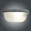 Миниатюра фото потолочный светильник элетех банник 1005500932 ip65 | 220svet.ru