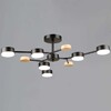 Миниатюра фото люстра reluce 03860-0.3-06 bk+wood gx53 | 220svet.ru