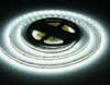 Миниатюра фото светодиодная лента холодный белый ambrella light 22w/m 240led/m 2835smd 6500к 5m gs3503 | 220svet.ru