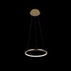Миниатюра фото подвесной светодиодный светильник loft it ring 10014s | 220svet.ru