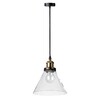 Миниатюра фото подвесной светильник loft it factory filament loft1123 | 220svet.ru