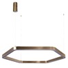 Миниатюра фото подвесной светодиодный светильник loft it titanium 10243l gold | 220svet.ru