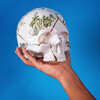 Миниатюра фото статуэтка skull seletti 09943 | 220svet.ru