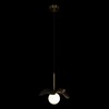 Миниатюра фото подвесной светильник loft it 10213/a black | 220svet.ru