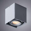 Миниатюра фото потолочный светильник arte lamp pictor a5654pl-1gy | 220svet.ru