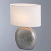 Миниатюра фото настольная лампа arte lamp a5144lt-1si | 220svet.ru