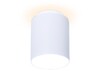 Миниатюра фото потолочный светодиодный светильник ambrella light techno spot tn260 | 220svet.ru