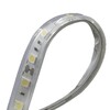 Миниатюра фото влагозащищенная лента designled 14,4w/m 60led/m 5050smd холодный белый 5m 002377 | 220svet.ru