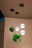 Миниатюра фото подвесной светильник imperium loft palma 168491-22 | 220svet.ru