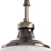 Миниатюра фото подвесной светильник arte lamp guimet a3051sp-1ab | 220svet.ru