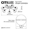 Миниатюра фото потолочная люстра на штанге citilux tika cl133171 | 220svet.ru