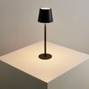 Миниатюра фото уличная настольная светодиодная лампа arte lamp fuyue a1614lt-1bk | 220svet.ru