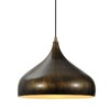 Миниатюра фото подвесной светильник lussole loft grlsp-9655 | 220svet.ru