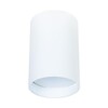 Миниатюра фото потолочный светильник arte lamp beid a1517pl-1wh | 220svet.ru