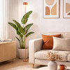 Миниатюра фото торшер tk lighting noa 19008 | 220svet.ru