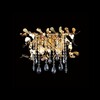Миниатюра фото настенный светильник crystal lux romeo ap2 gold | 220svet.ru