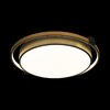 Миниатюра фото потолочный светодиодный светильник loft it mike 10170 | 220svet.ru