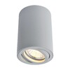Миниатюра фото потолочный светильник arte lamp a1560pl-1gy | 220svet.ru