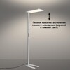 Миниатюра фото торшер светодиодный диммируемый novotech studi 359545 белый | 220svet.ru