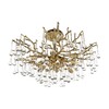 Миниатюра фото потолочная люстра loft it coral 10351/600c ab | 220svet.ru