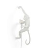 Миниатюра фото настенный светильник monkey lamp outdoor hanging right | 220svet.ru