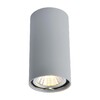 Миниатюра фото потолочный светильник arte lamp a1516pl-1gy | 220svet.ru