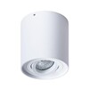 Миниатюра фото потолочный светильник arte lamp galopin a1460pl-1wh | 220svet.ru
