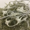 Миниатюра фото гирлянда занавес, 2x6м., 1200 led, т-коннектор, холодный белый, без мерцания, прозрачный пвх провод, с защитным колпачком. 05-1943 | 220svet.ru