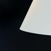 Миниатюра фото подвесной светильник imperium loft xd-b 178212-26 | 220svet.ru